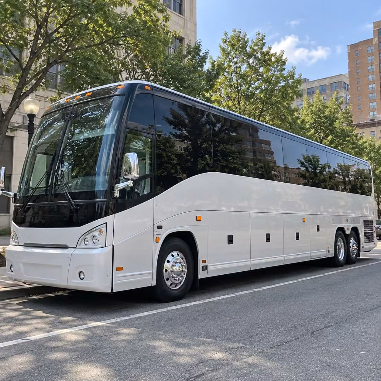 norfolk tides harbor park baseball transportation from virginia beach